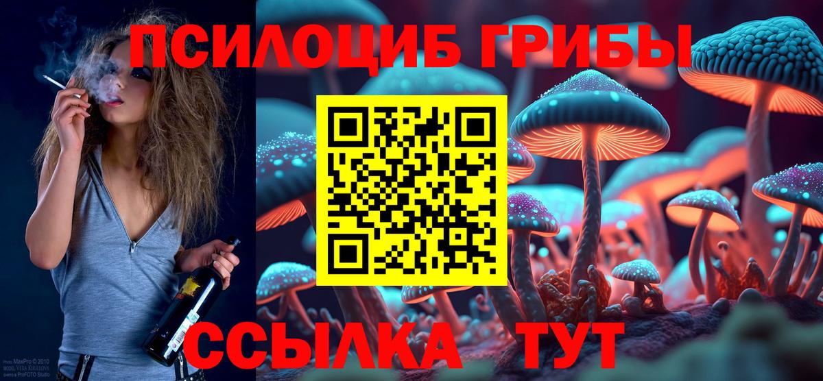 Псилоцибиновые грибы Cubensis Ачинск