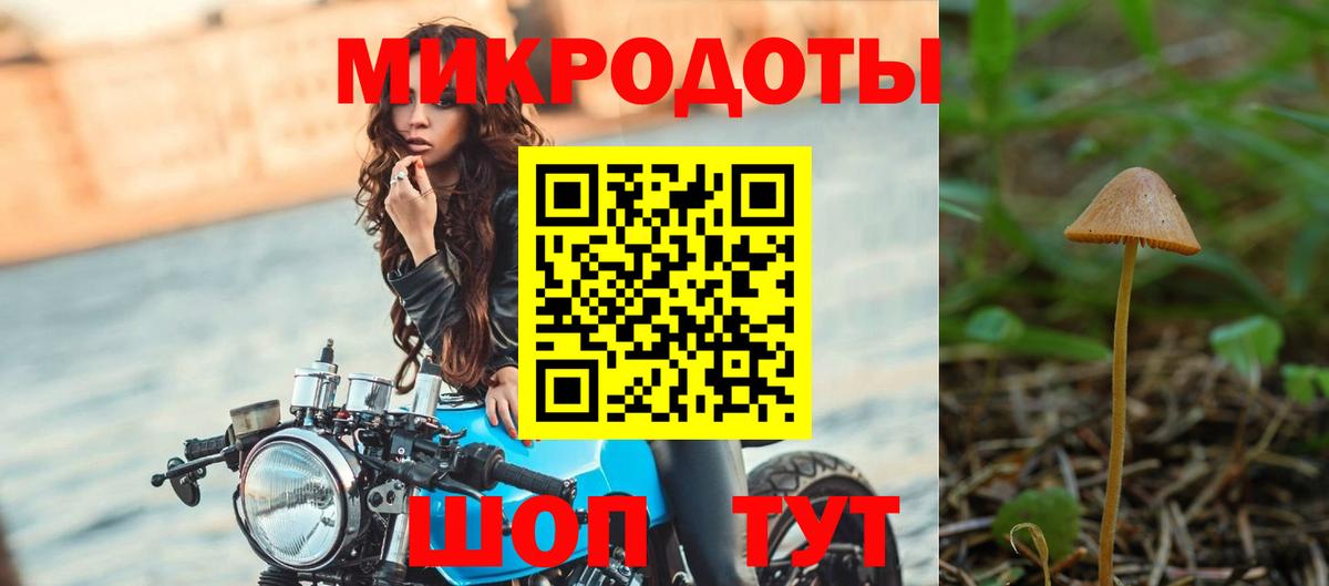 Ачинск  Псилоцибиновые грибы Psilocybe  Вход с VPN 